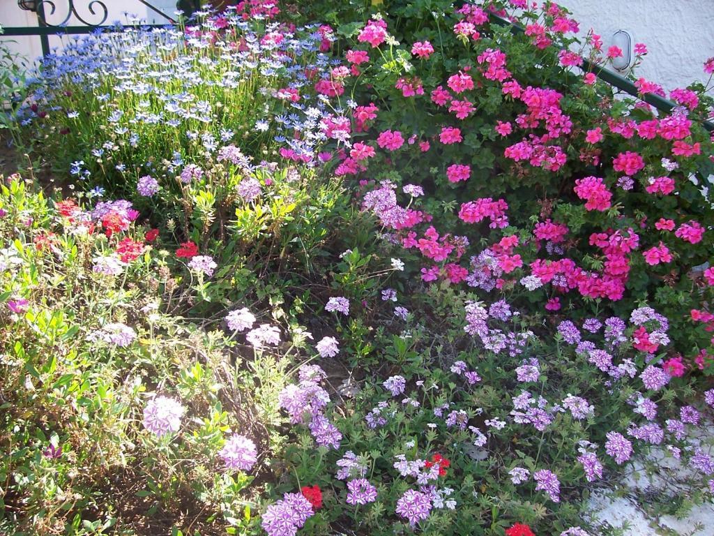 B&B Arcobaleno Cefalù Esterno foto